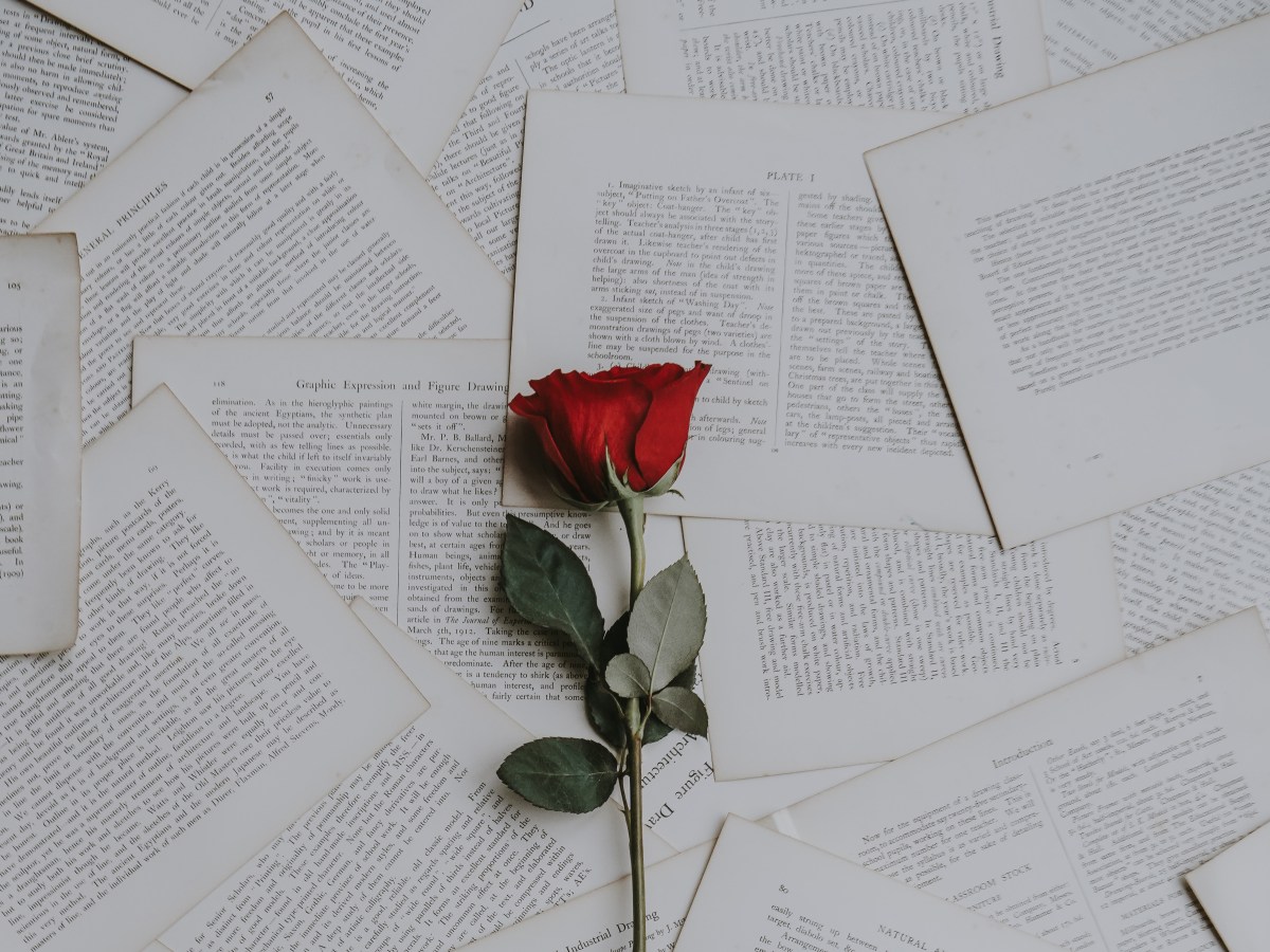 Dear Sarah Everard, it wasn’t your fault